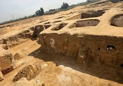ردپایی از شکارچیان ماقبل تاریخ؛ گودالی پر از استخوان سگ آبی | عکس