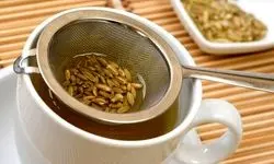 این 3 گیاه برای آرامش معده معجزه میکنند