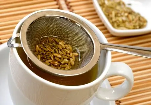 این 3 گیاه برای آرامش معده معجزه میکنند