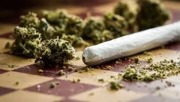 جنون ایستگاه پایانی مصرف گل