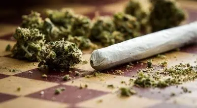 جنون ایستگاه پایانی مصرف گل