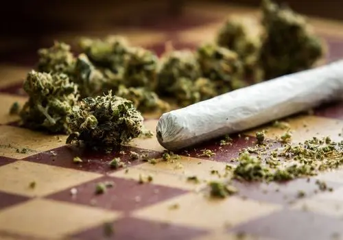 جنون ایستگاه پایانی مصرف گل