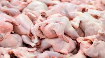 علت افزایش قیمت مرغ در ۶ آبان اعلام شد

