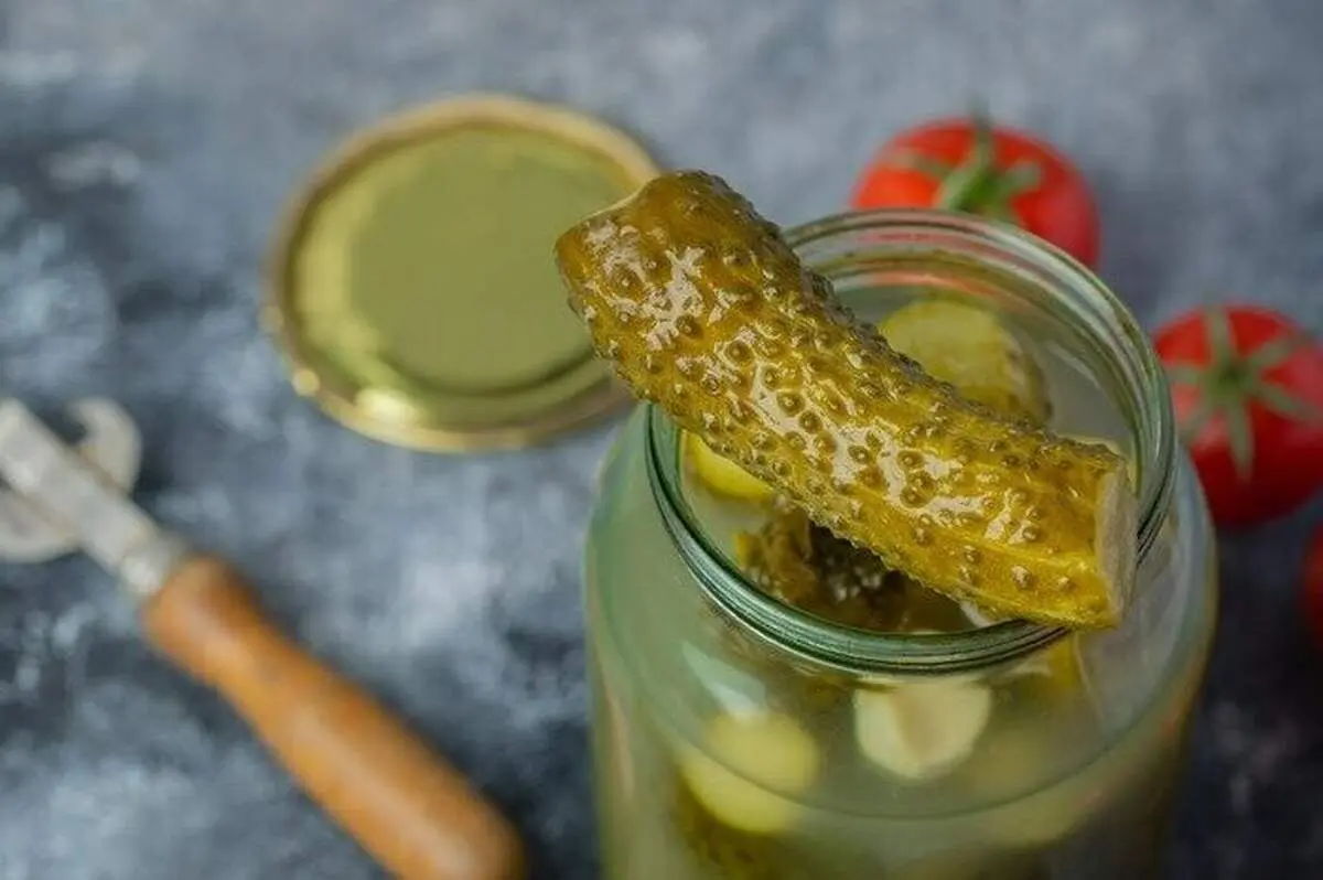 راه‌های ساده و کاربردی برای گرفتن شوری خیارشور