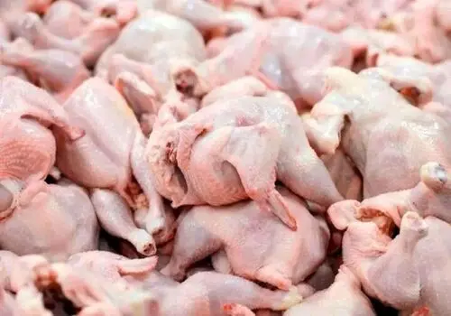 پخت سریع پیکاتای مرغ با لیمو مایر؛ سبک و مجلسی