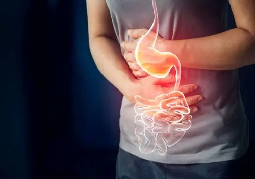 کدو سبز؛ دوست معده شما برای مقابله با نفخ و یبوست