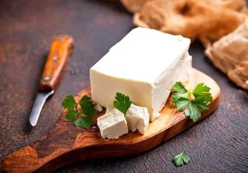 آیا گربه ها می توانند پنیر بخورند؟
