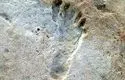 ردپاهای باستانی متعلق به کجاست؟