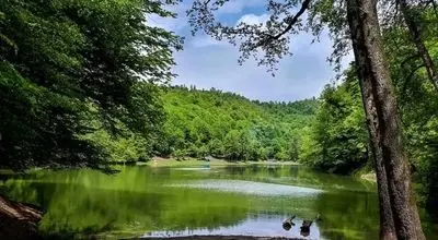 راهنمای سفر به رویان: از آبشار آب پری تا ساحل بکر