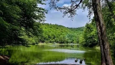 راهنمای سفر به رویان: از آبشار آب پری تا ساحل بکر
