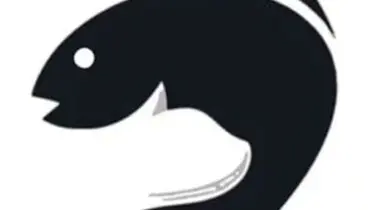 این تست توهم تصویری، لایه های پنهان شخصیت شما را آشکار می کند + عکس/ ویژگی های شخصیت تان را با این تست روانشناسی بشناسید