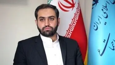 تعریف عجیب معاون وزیر کار از شغل جنجالی شد+فیلم