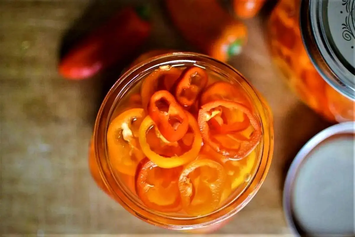 طرز تهیه ترشی فلفل دلمه‌ای در منزل
