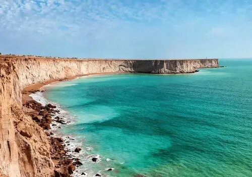 این حرف ها را به هوش مصنوعی نگویید