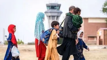 خروج ۷۵ هزار تبعه غیرمجاز از کشور؛ ۷۵ درصد به‌صورت خودمعرف مراجعه کردند