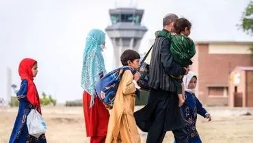 خروج ۷۵ هزار تبعه غیرمجاز از کشور؛ ۷۵ درصد به‌صورت خودمعرف مراجعه کردند