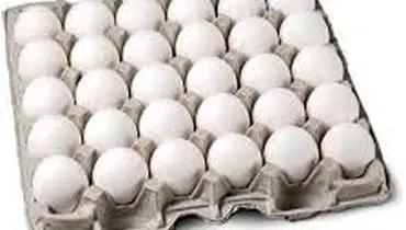 فاجعه معیشتی در راه است؛ تخم‌مرغ ۵۰۰ هزار تومانی در انتظار مصرف‌کننده
