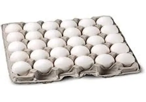 فاجعه معیشتی در راه است؛ تخم‌مرغ ۵۰۰ هزار تومانی در انتظار مصرف‌کننده
