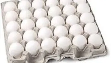 فاجعه معیشتی در راه است؛ تخم‌مرغ ۵۰۰ هزار تومانی در انتظار مصرف‌کننده
