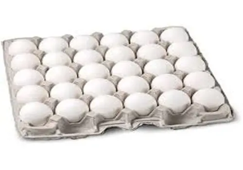 تولید کالاهای ضروری و حمایت از معیشت خانوارها استمرار یابد