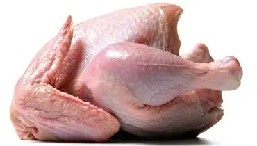 مرغ در مسیر رکوردشکنی؛ مرغ۵۰۰ هزار تومانی در راه است