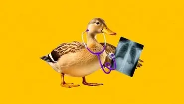 چت جی‌پی‌تی را با دکتر اشتباه نگیرید! 