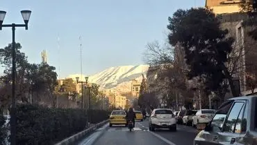 منصوریان «سلطان» عراقی‌ها شد+ عکس 