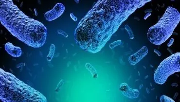 چرا عفونت‌های واژینال دوباره برمی‌گردند؟