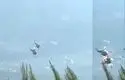 لحظه برخورد مرگبار دو هلیکوپتر در یونان + فیلم
