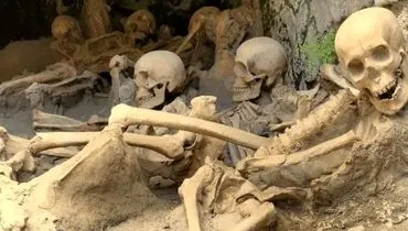 ۳۱۷ اسکلت چندصدساله از زیر یک فروشگاه قدیمی در آمد