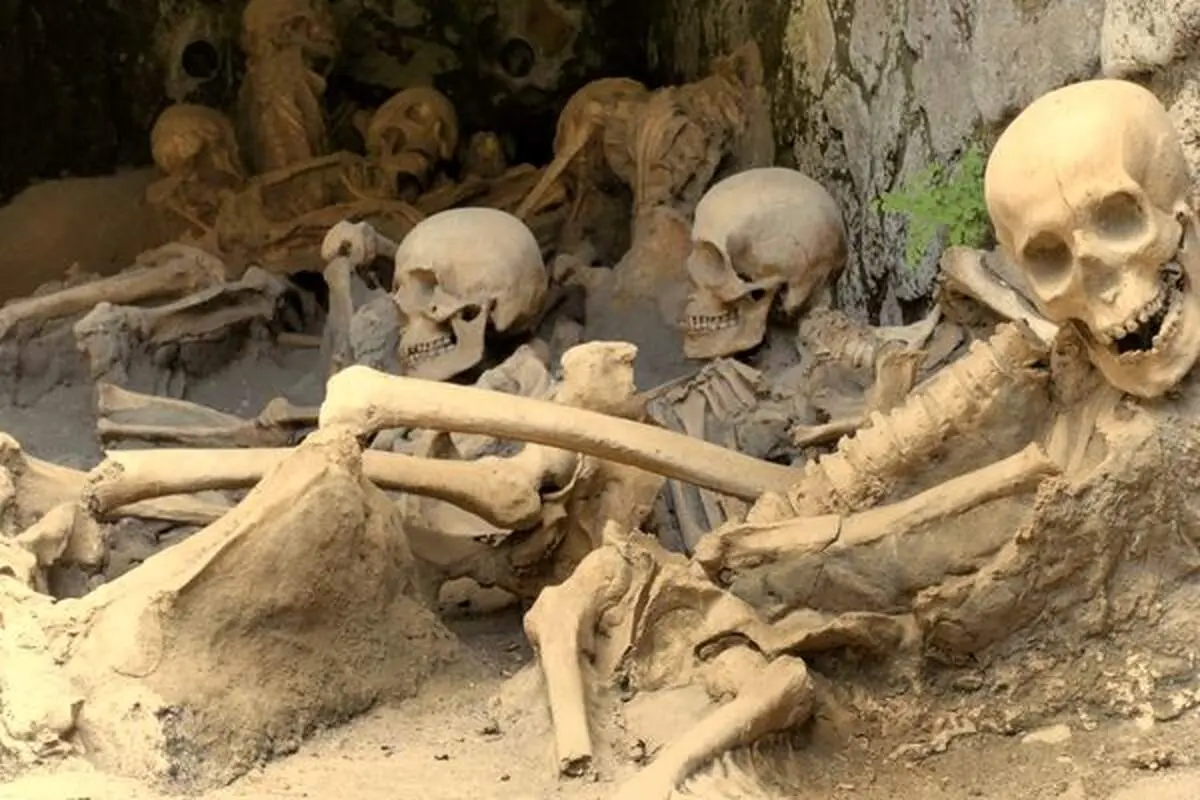 ۳۱۷ اسکلت چندصدساله از زیر یک فروشگاه قدیمی در آمد