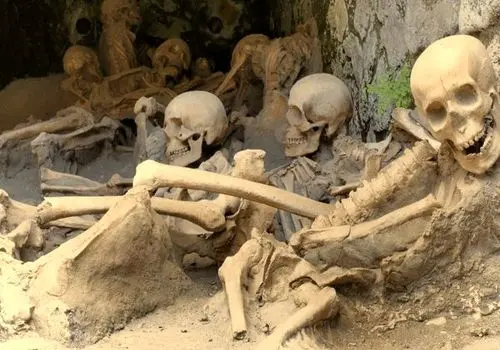 ۳۱۷ اسکلت چندصدساله از زیر یک فروشگاه قدیمی در آمد