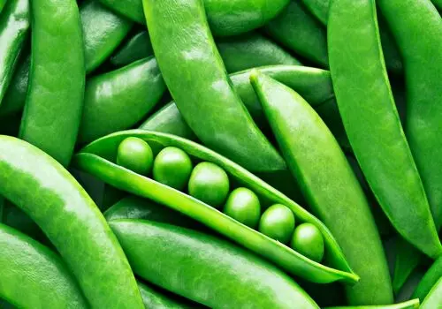کتلت سبزیجات بدون روغن؛ افطاری سالم و خوشمزه