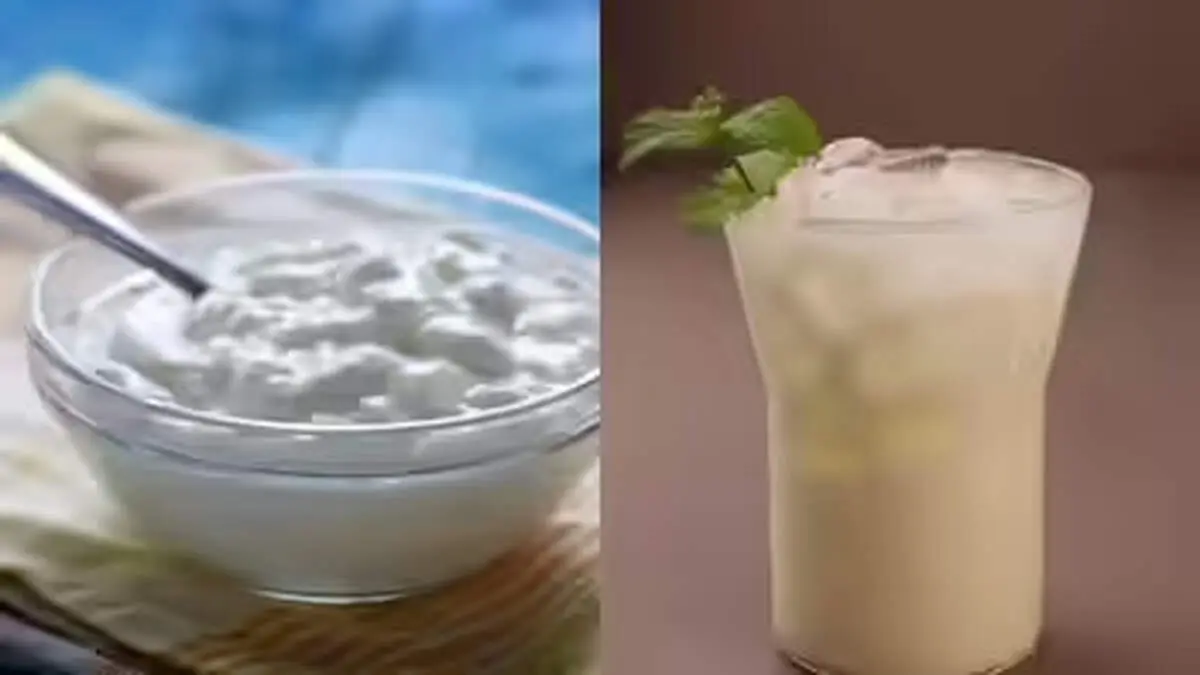 کشک یا دوغ؟ انتخاب هوشمند برای سلامت روده و آبرسانی بدن