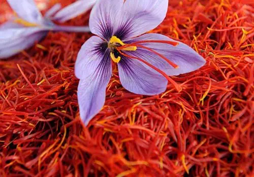راهنمای کامل خرید زعفران اصل؛ از تشخیص اصالت تا انتخاب پک هدیه زعفرانیه