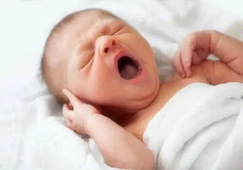 آخرین تصمیم دولت درباره کالابرگ؛ دستور ویژه پزشکیان صادر شد