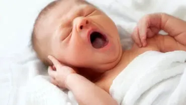 کالا برگ این گروه از فردا شارژ می‌شود