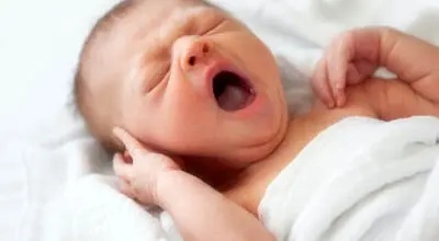 کالا برگ این گروه از فردا شارژ می‌شود