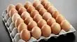 قیمت هر شانه تخم مرغ به 245 هزار تومان رسید