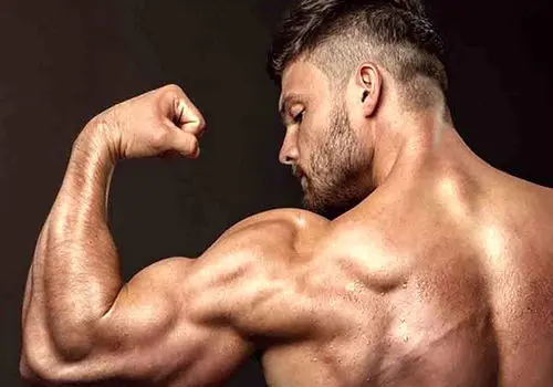 ماهیچه‌ها هوش و حافظه دارند!
