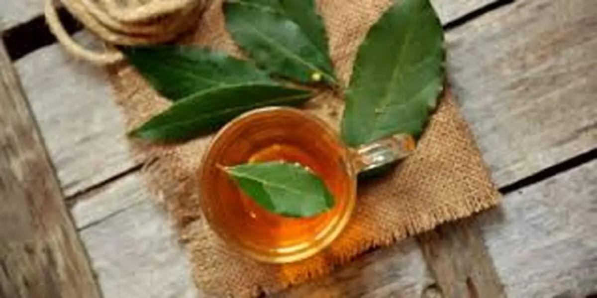 چای برگ بو؛ راه حل طبیعی برای آرتروز لگن
