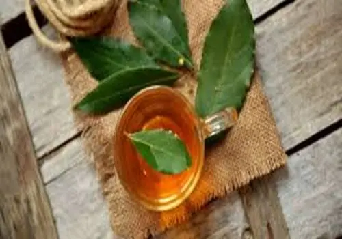 تمدید اجباری قراردادهای اجاره؛ راه‌حل حمایتی برای مستأجران یا عامل تشدید التهاب در بازار مسکن؟