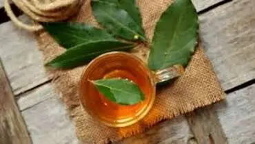 چای برگ بو؛ راه حل طبیعی برای آرتروز لگن
