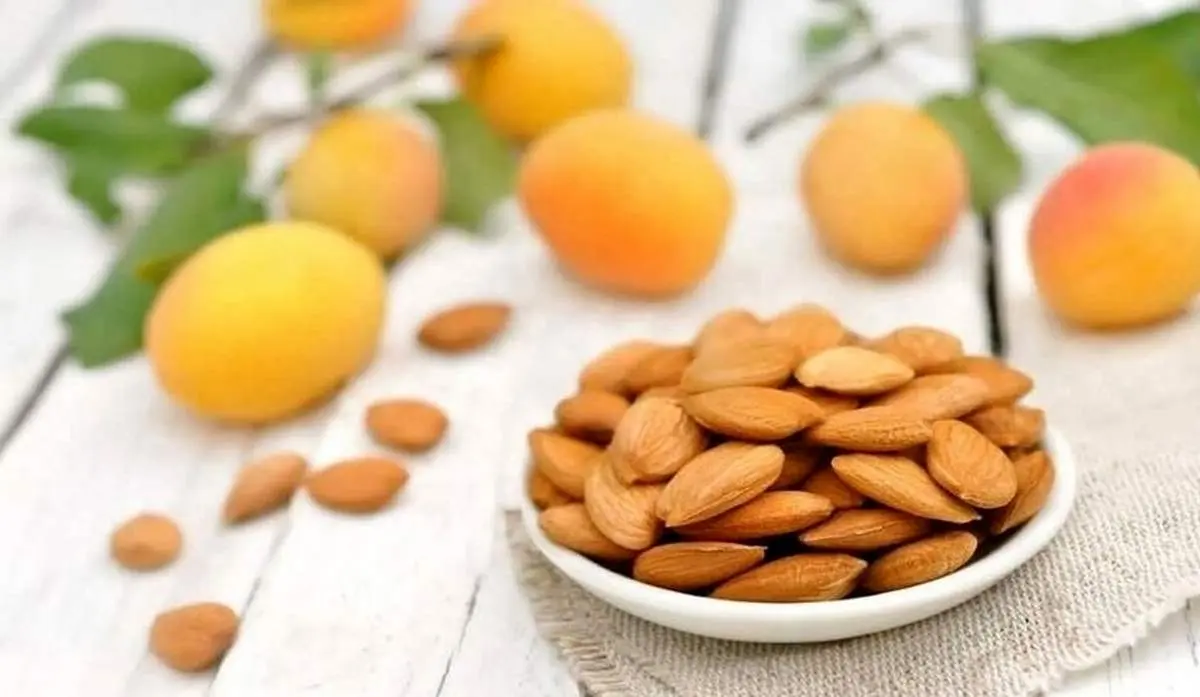 چراخوردن هسته زردآلو ممنوع است؟