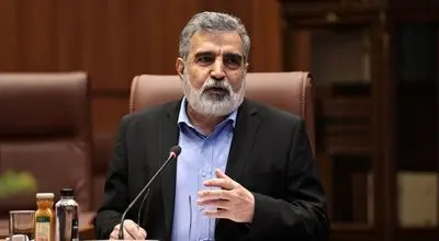 کمالوندی از مذاکره ایران و روسیه درباره ساخت نیروگاههای بزرگتر از بوشهر خبر داد