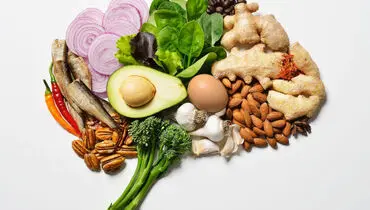 بهترین غذاها برای سلامت مغز شما بعد از 40 سالگی