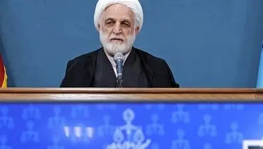 اژه‌ای: نمی‌خواهیم هر فردِ کم توجه به قانون حجاب در کف خیابان را کیفر کنیم