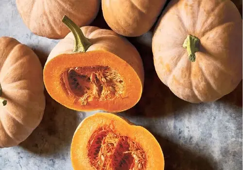 معجزه ای به نام کدو حلوایی
