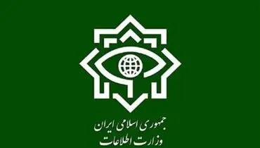 وزارت اطلاعات از بازداشت ۱۸ مزدور شبکه تروریستی اینترنشنال  خبر داد
