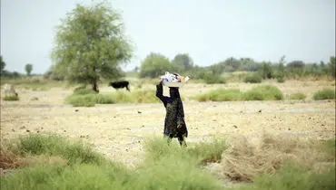 مهاجرت ۸۰۰ هزار ایرانی با بحران خشکسالی